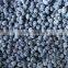 2015 NEW CROPS BLUEBERRIES