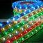 rohs led flexible neon strip light wholesale