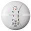 Wireless Professional GSM alarm system with LCD display and touch keypad