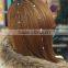 woman hair accessory crystal hair bling