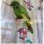 Colorful Parrot Rotating Ladder Parrot Standing Rope Pet Bird Parrot Cage Macaw Cockatoo Cockatiel Conure Rotating Staircase