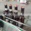 Automatic Glass Bottle Juice Hot Bottling Apparatus