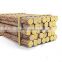 Pine or Birch wood logs Hardwood Popular China Shandong