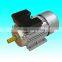 YE2-160M1-2 (2 pole three phase high efficient asynchronous Industry motor AC motor)