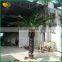 5m fiberglass trunk artificial date palm tree cheap price artificial palm tree
