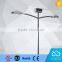 hot selling 100W smart Dual solar led street light with pole