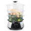 Home steamer stainless steel