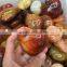 Natural Agate Heart Shaped Stone For Sale Crystal Ornaments