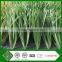 AVG Olympic Game Football Field Supplier Selling Fake Lawn Grass Carpet Outdoor Cost Effectiive