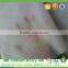 Waterproof Nonwoven Fabric 100%pp Non-woven Banana Bag