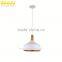 Iron Wire Small Cage Drop Pendant Lamp