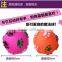 Pet toys food ball squeaky ball dog toys funny pet ball toy