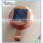 Decorative Garden Solar Lights for Fence Post