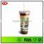 Eco 20 Oz Translucent insulated plastic tumbler bottle with straw