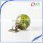 20mm handmade clear transparent natural dried adiantum pedatum resin ball with wish pendant jewelry for gifts