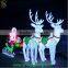 Deer Carriage Santa Claus new LED Lighting products