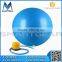 Gym Pilates Yoga Ball with Free Pump