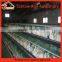 Design modern chicken egg layer cages poultry cage