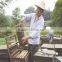 Beekeeping Tools Honey Flowing Beehive With Frames /beehive Boxes Hot Sale Beehive Box
