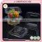 Plastic rectangular blister cupcake box with lid
