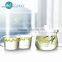 Borosilicate Glass Handblown Glass Teapot With Glass Infuser and Two Tea Cups TZ319