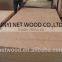 4x8 Indoor Usage Furniture Grade Bintangor Plywood
