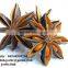 Viet Nam Star Aniseed