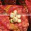 New Crop Normal White Onion Price