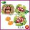 Organic Fresh Chinese Chestnut Nuts with Bright Color