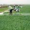 2015 Barley grass powder(hordeum vulgare)