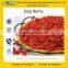 GMP Certified Manufacturer Supply 2016 Chinese Goji Berry