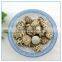Antumn Planting Log Thick Shiitake Mushroom Spawn