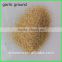 chinese garlic powder imports wholesale