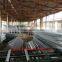 Supply Naira Bank Account Poultry Layer Battery Cage With Automatic Equipment