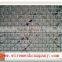 Stainless Steel Crimped Wire Mesh/grill Mesh/barbecue Wire Mesh Hebei Anping Factory Price