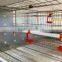 Pullets raising cage for poultry farming equipment poultry feeders and drinkers