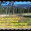 Green Power Coated hinge joint field fence /cattle fence/deer fencing supply