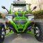 Spider Shaped Beach Buggy UTV With Displacement 400cc
