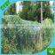 Plastic Anti Bird Net/Capture Bird Net/Agriculture Bird Net