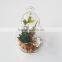 Artificial Plastic Mini Succulents Plants for Home Decoration