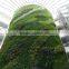 Indoor Vertical Garden Green Wall Factory Price Artificial Plant Wall