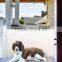 Hot Selling Metal Frame Folding Retractable Pet Gate