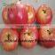 China factory supplier, natural looking decorative artificial apple tree