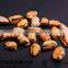FDA, HACCP, QS, ISO Certifications Frozen Mussel Meat without Shell Seafood