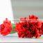 flower Type natural fresh cut flowers carnations price to workmates
