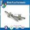 Made in Taiwan Exploding Large Head Mill Aluminum Steel Peel Stainless Steel Pop Rivet