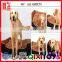 custom wholesale dog bed for large dogs luxury non slip pet dog beds