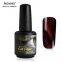 RONIKI Hot Flame Cat Eye Gel Polish,Cat Eye Gel,Cat Eye Gel Polish,Cat Eye Gel factory,Cat Eye Gel Polish