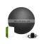 Harbour Fitness GYM Custom Logo Exercise Yoga Ball with Hand Pump