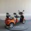double seat 800w electric scooter with canopy